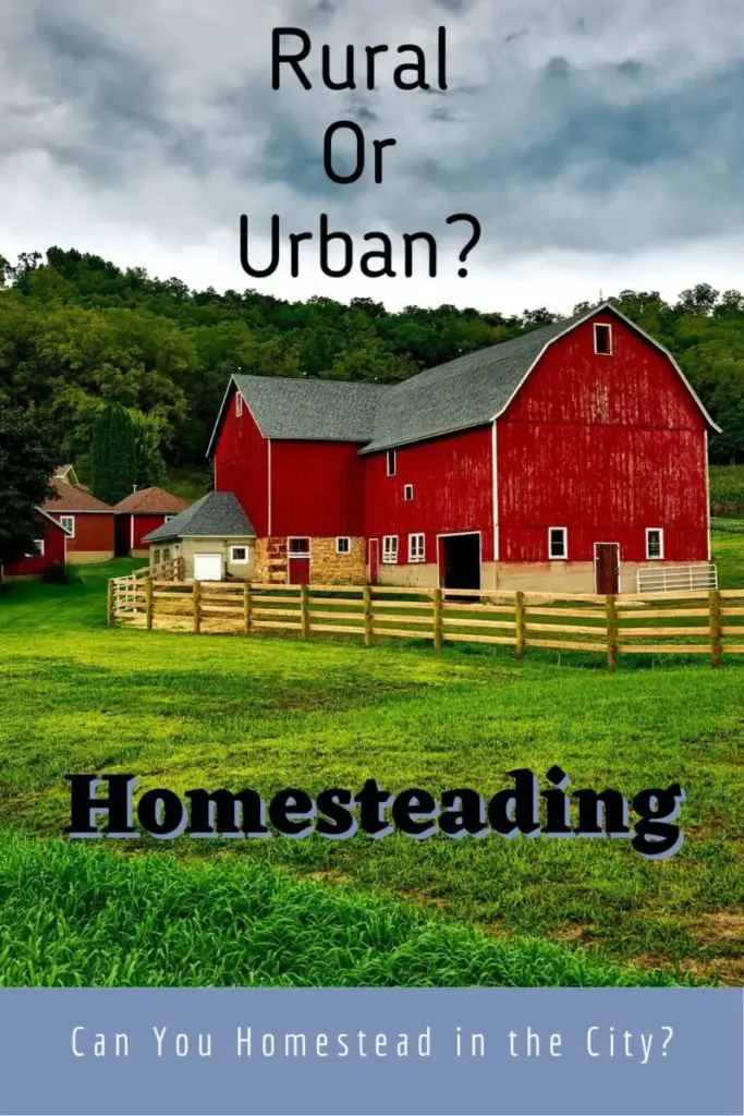 Can You Homestead In the City Country Family Homestead