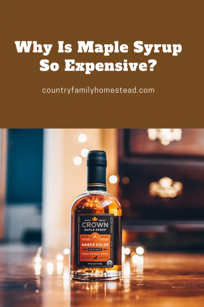 Why Is Maple Syrup So Expensive? Country Family Homestead