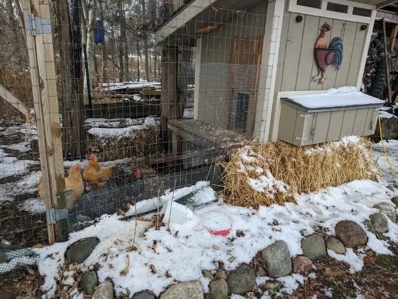 Winterized Chicken Coop