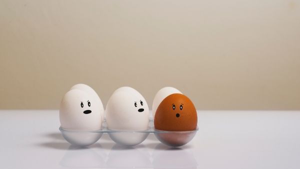 Brown & White Egg Facts