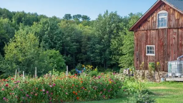 What is Modern Day Homesteading – A Look at Sustainable Living